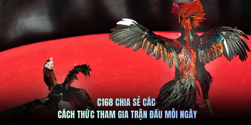 C168 chia sẻ các cách thức tham gia trận đấu mỗi ngày