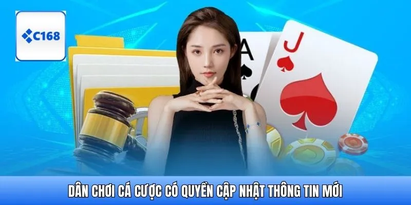 Dân chơi cá cược có quyền cập nhật thông tin mới