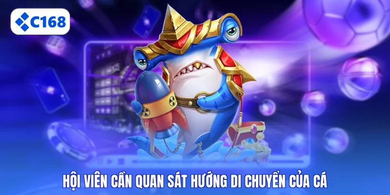 Hội viên cần quan sát hướng di chuyển của cá