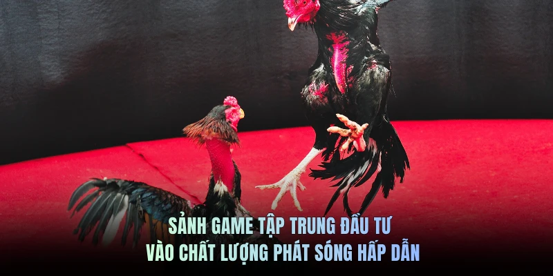 Sảnh game tập trung đầu tư vào chất lượng phát sóng hấp dẫn